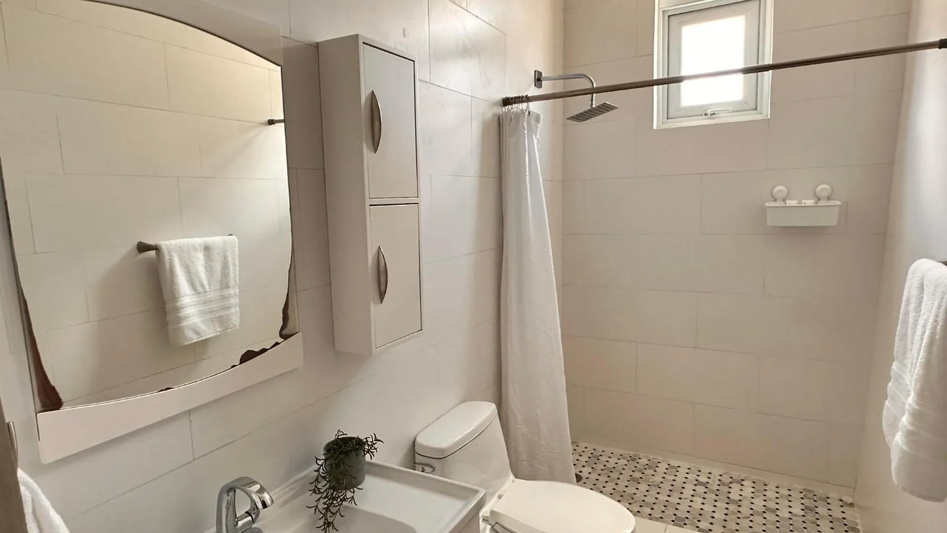 1120 Vieques By Stay With Bear San Juan Porto Rico
